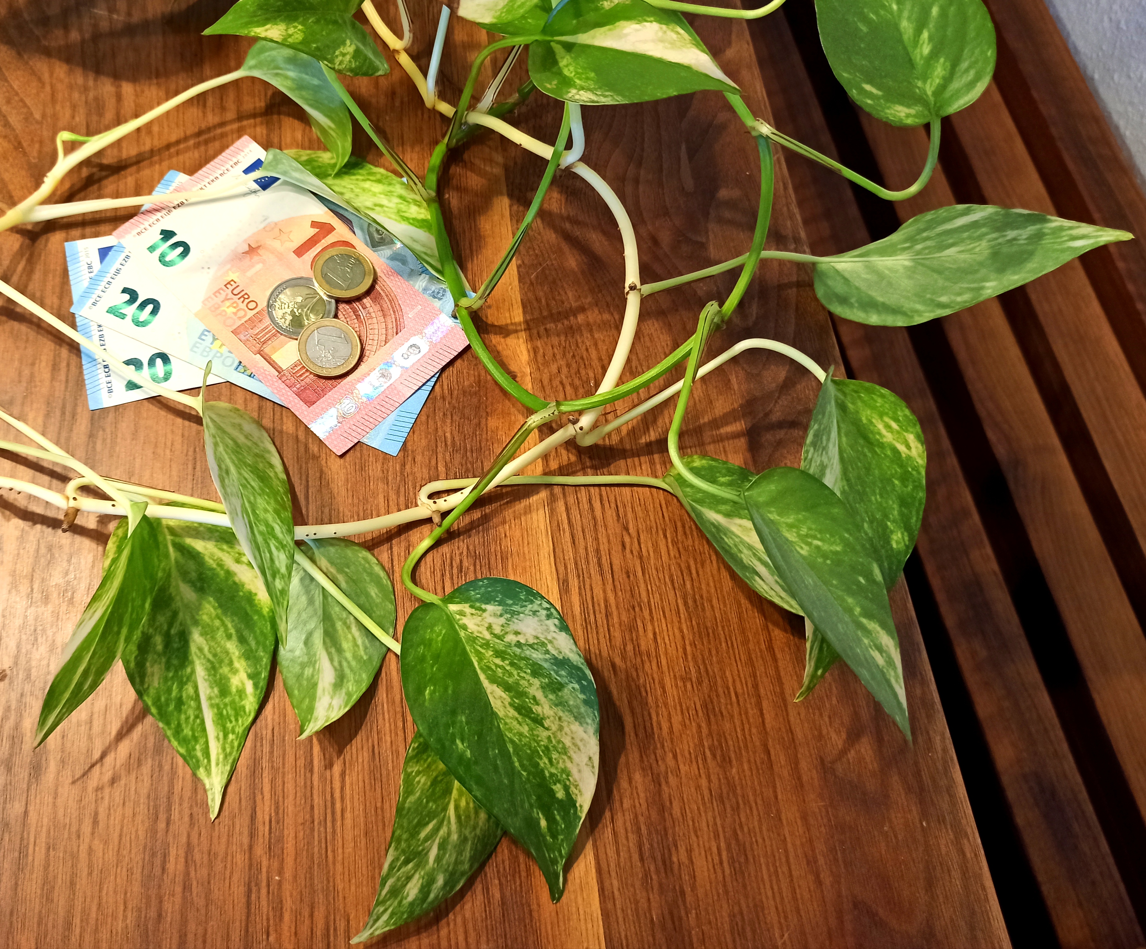 Stillen ist ökonomisch